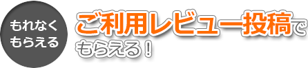 [ もれなくもらえる]ご利用レビュー投稿で当たる！