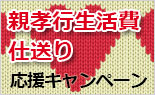 親孝行生活費仕送りキャンペーン
